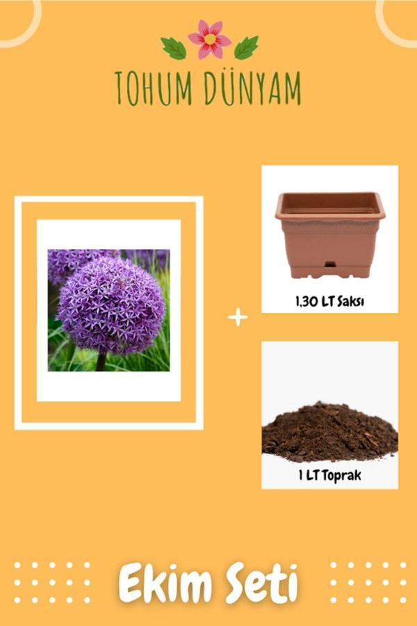 Ayc Botanik Dev Mor Allium Çiçeği Tohumu Ekim Seti - Image 1