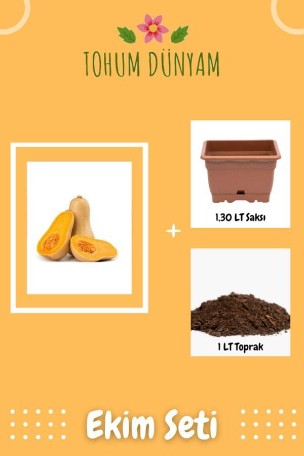 Ayc Botanik Erkenci Bal Kabağı Tohumu Ekim Seti - Image 1