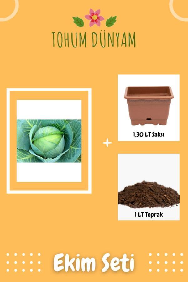 Ayc Botanik Beyaz Lahana Tohumu Ekim Seti - Image 1