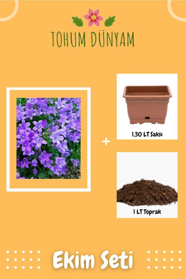 Ayc Botanik Kadeh Çan Çiçeği Tohumu Ekim Seti - Image 1