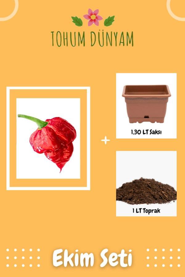 Ayc Botanik Ithal Nadir Çok Acı Trinidat Scorpion Biber Tohumu Ekim Seti - Image 1