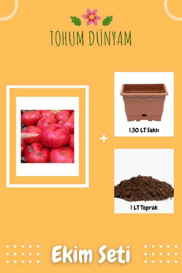 Ayc Botanik Pembe Dev Bulgar Domatesi Tohumu Ekim Seti - Image 1