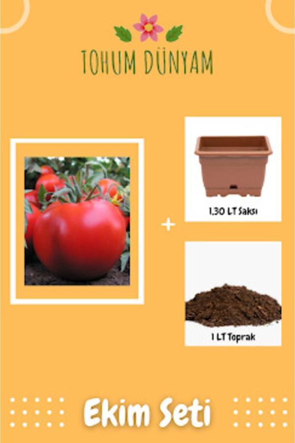 Ayc Botanik Yerli Sofralık Domates Tohumu Ekim Seti - Image 1
