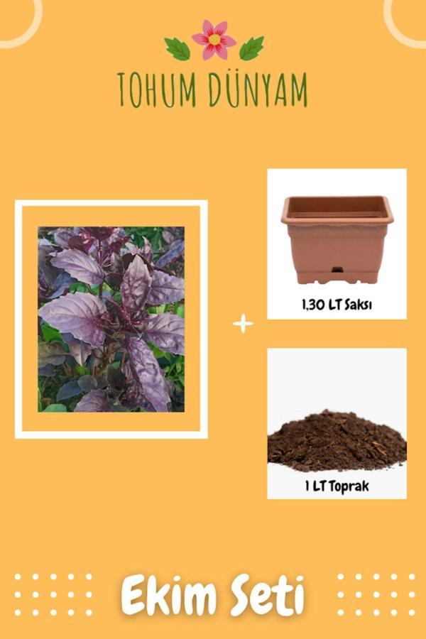 Ayc Botanik Mor Reyhan Tohumu Ekim Seti - Image 1