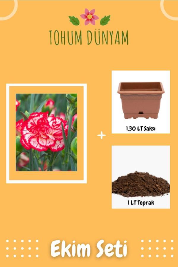 Ayc Botanik Lekeli Karanfil Çiçeği Tohumu Ekim Seti - Image 1