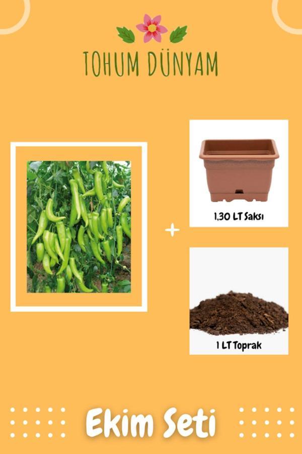 Ayc Botanik Yediveren Çarliston Biber Tohumu Ekim Seti - Image 1