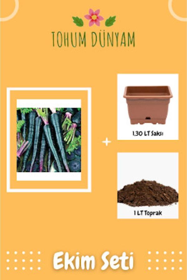 Ayc Botanik Mor Havuç Tohumu Ekim Seti - Image 1