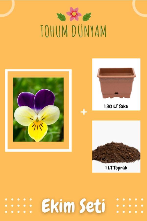 Ayc Botanik Özel Renkli Hercai Menekşe Çiçeği Tohumu Ekim Seti - Image 1