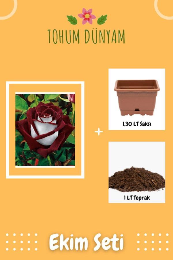 Ayc Botanik Redwhite Gül Tohumu Ekim Seti - Image 1