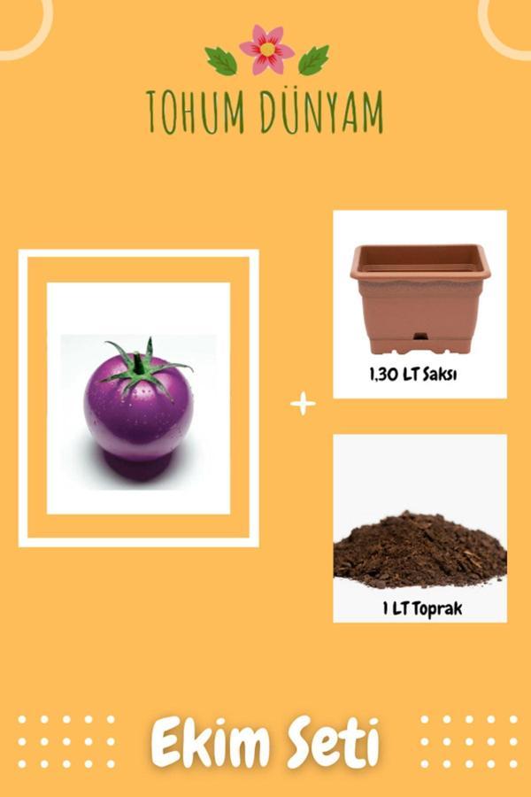 Ayc Botanik Nadir Ithal Mor Domates Tohumu Ekim Seti - Image 1