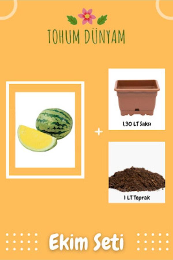 Ayc Botanik Ithal Nadir Sarı Karpuz Tohumu Ekim Seti - Image 1