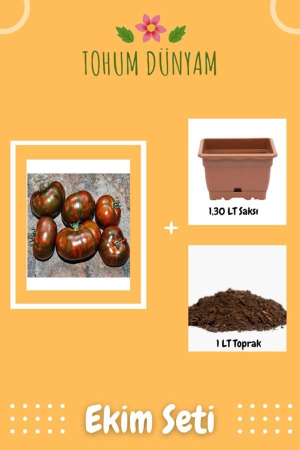 Ayc Botanik Dev Kahverengi Domates Tohumu Ekim Seti - Image 1