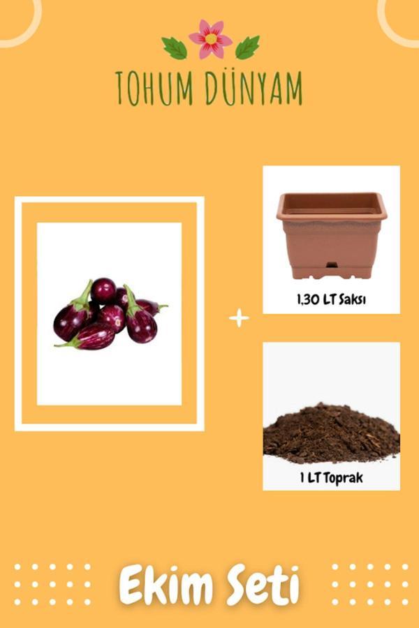 Ayc Botanik Adana Topak Dolmalık Patlıcan Tohumu Ekim Seti - Image 1