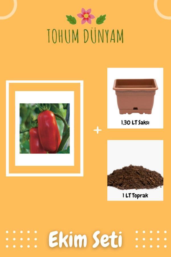 Ayc Botanik San Marzano Domates Tohumu Ekim Seti - Image 1