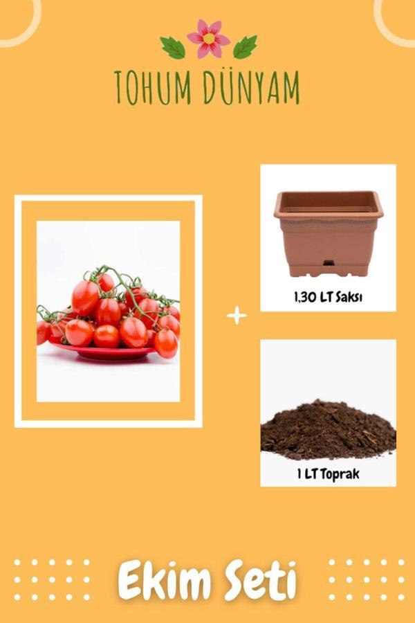 Ayc Botanik Kırmızı Çeri Domates Tohumu Ekim Seti - Image 1
