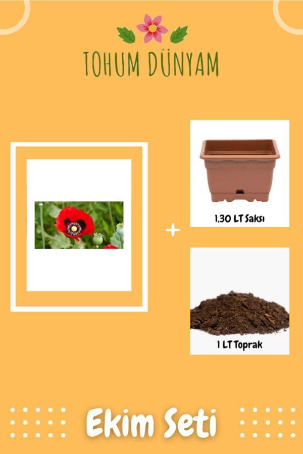 Ayc Botanik Kırmızı Gelincik Çiçeği Tohumu Ekim Seti - Image 1