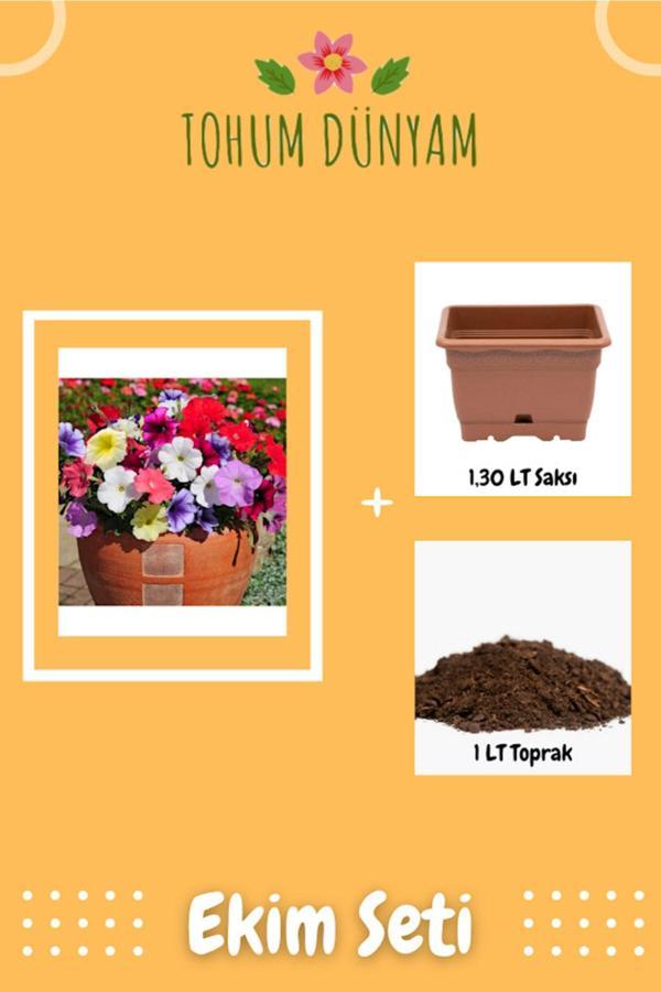Ayc Botanik Karışık Petunya Çiçeği Tohumu Ekim Seti - Image 1