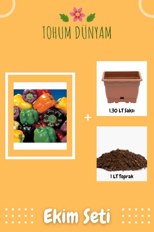 Ayc Botanik California Biberi Tohumu Ekim Seti - Image 1