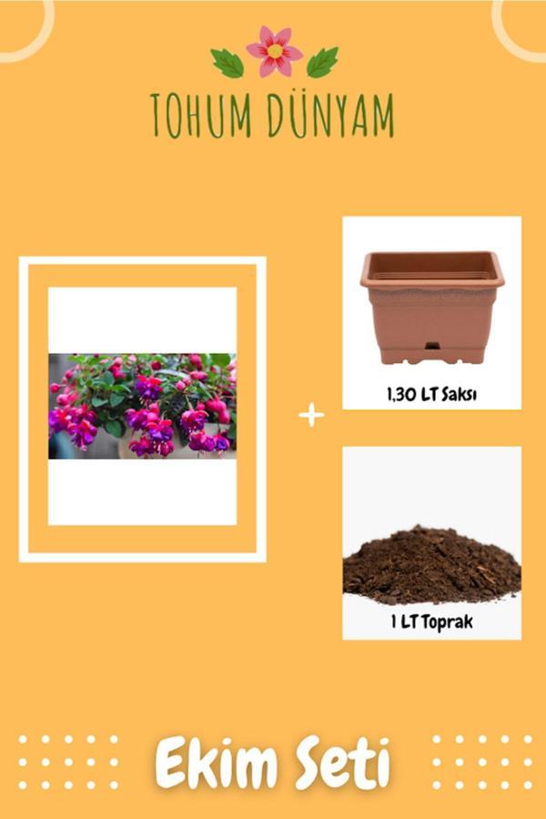 Ayc Botanik Küpe Çiçeği Tohumu Ekim Seti - Image 1