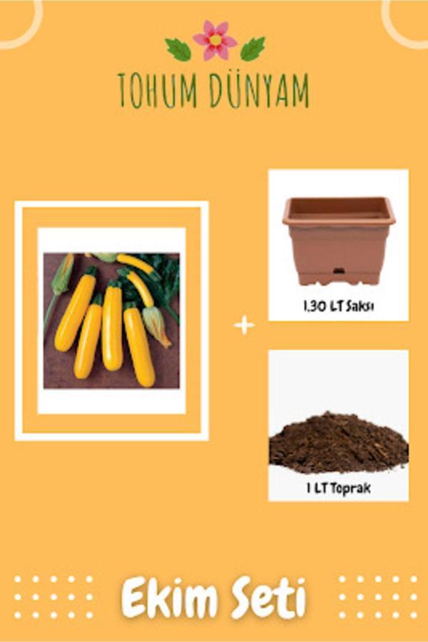 Ayc Botanik Endonezya Sarı Altın Kabak Tohumu Ekim Seti - Image 1