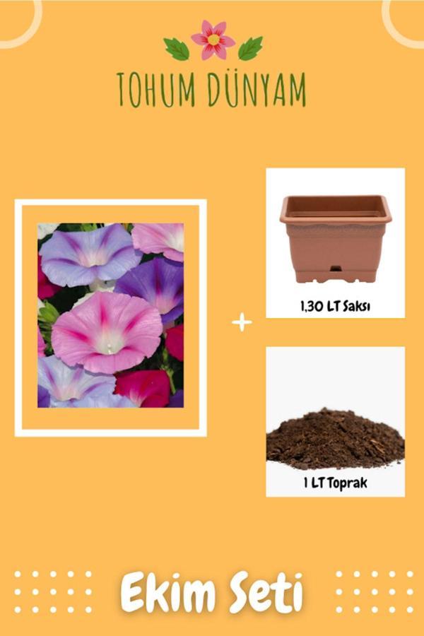Ayc Botanik Sarmaşık Çiçeği Tohumu Ekim Seti - Image 1