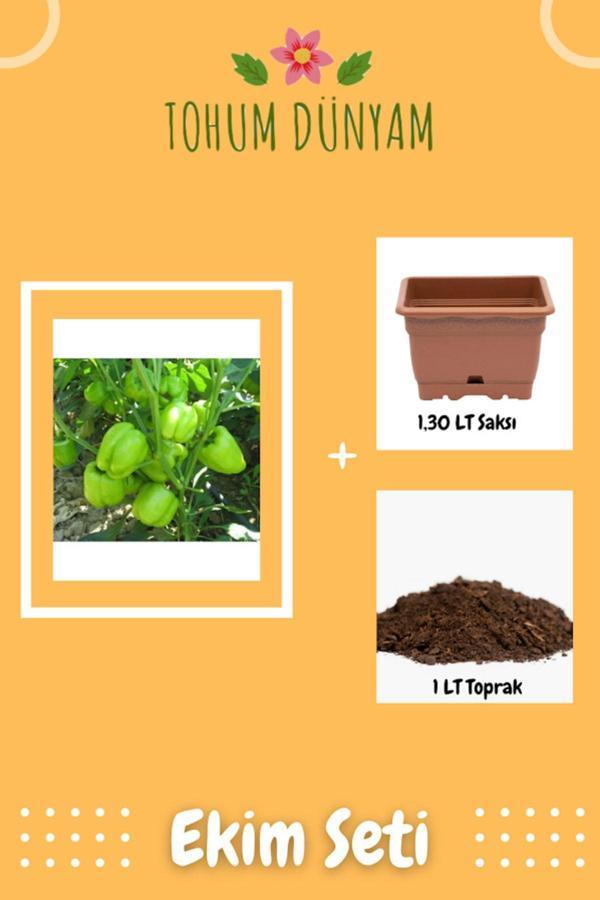 Ayc Botanik Kandil Dolma Biber Tohumu Ekim Seti - Image 1