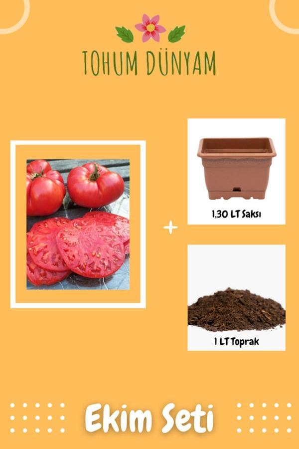 Ayc Botanik Yöresel Iri Nergele Domatesi Tohumu Ekim Seti - Image 1