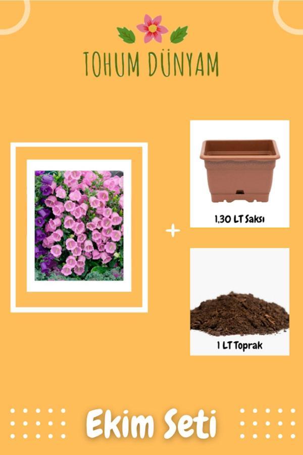 Ayc Botanik Pembe Çan Çiçeği 1. Kalite Özel Ürün Tohumu Ekim Seti - Image 1