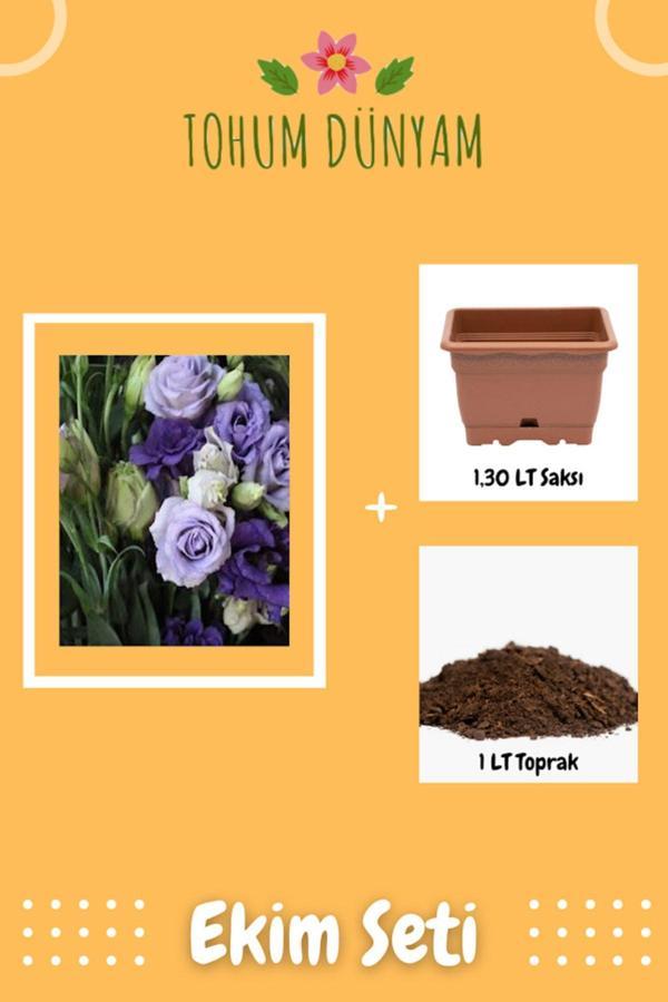 Ayc Botanik Kokulu Mor Lila Gül Tohumu Ekim Seti - Image 1