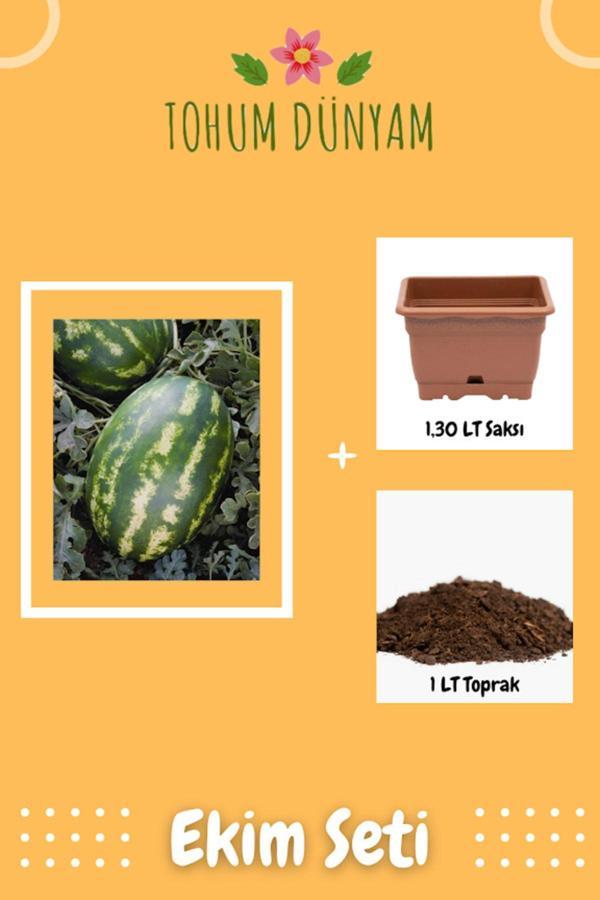 Ayc Botanik Tatlı Ve Sulu Karpuz Tohumu Ekim Seti - Image 1