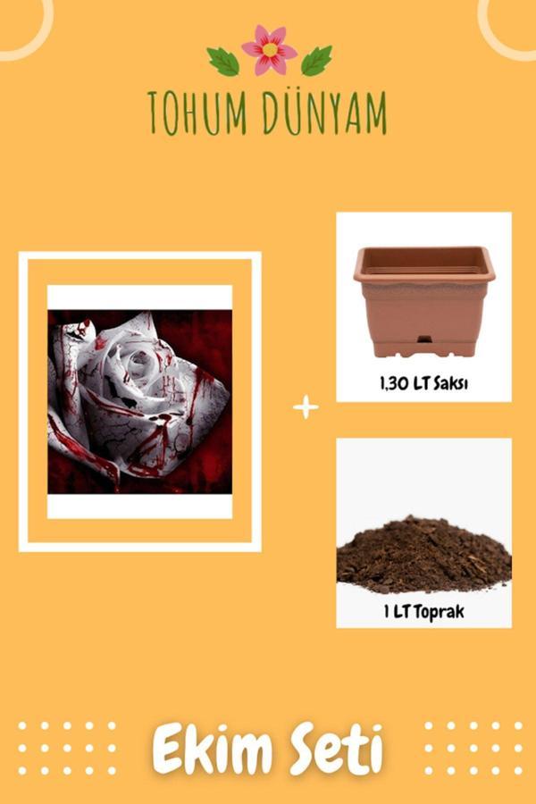 Ayc Botanik Blood Rose Gül Tohumu Ekim Seti - Image 1