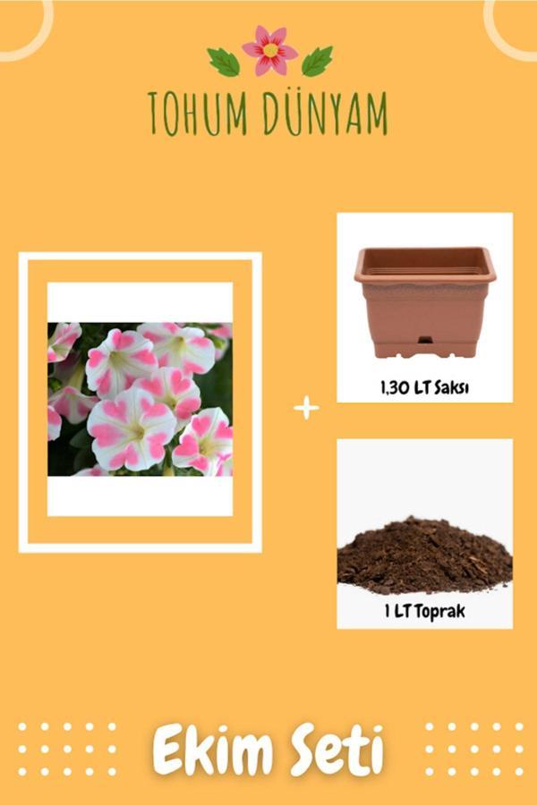 Ayc Botanik Beyaz-Pembe Kalpli Bodur Petunya Ithal Tohumu Ekim Seti - Image 1