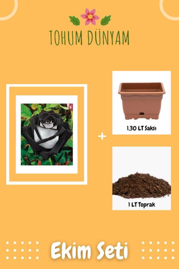 Ayc Botanik Siyah Beyaz Gül Tohumu Ekim Seti - Image 1