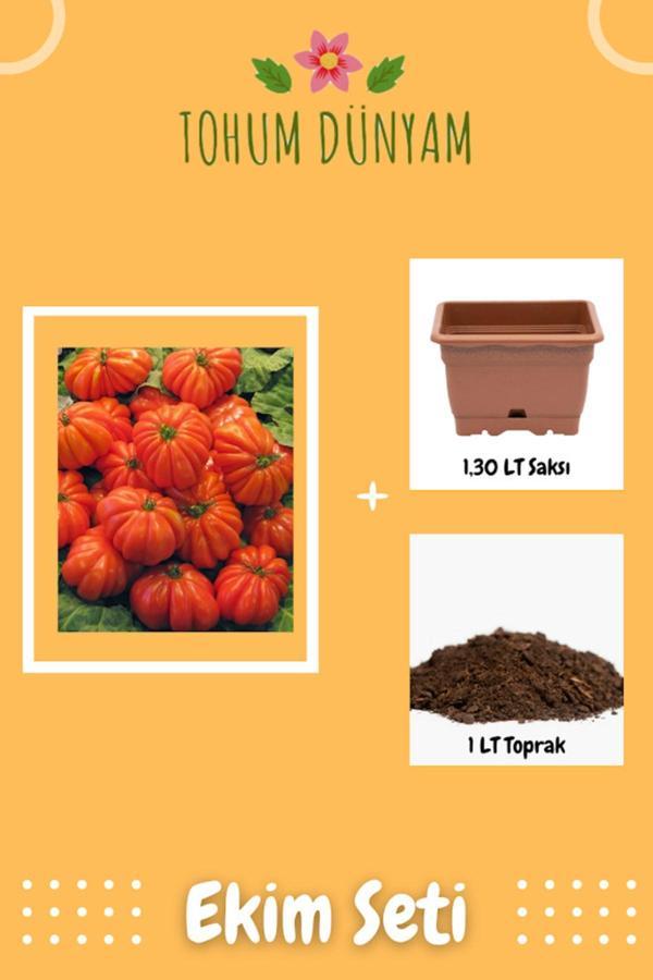 Ayc Botanik Nadir Ithal Antik Domates Tohumu Ekim Seti - Image 1