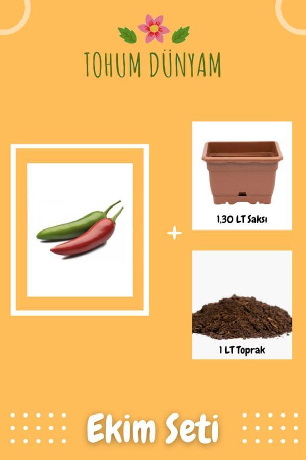 Ayc Botanik Ithal Jalapeno Kırmızı Acı Meksika Biberi Tohumu Ekim Seti - Image 1