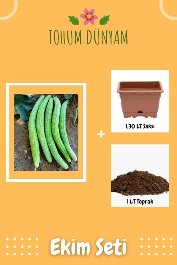 Ayc Botanik Yerli Köy Tipi Acur Tohumu Ekim Seti - Image 1