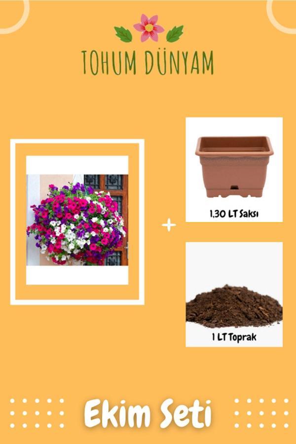 Ayc Botanik Petunya Balkon Çiçeği Tohumu Ekim Seti - Image 1