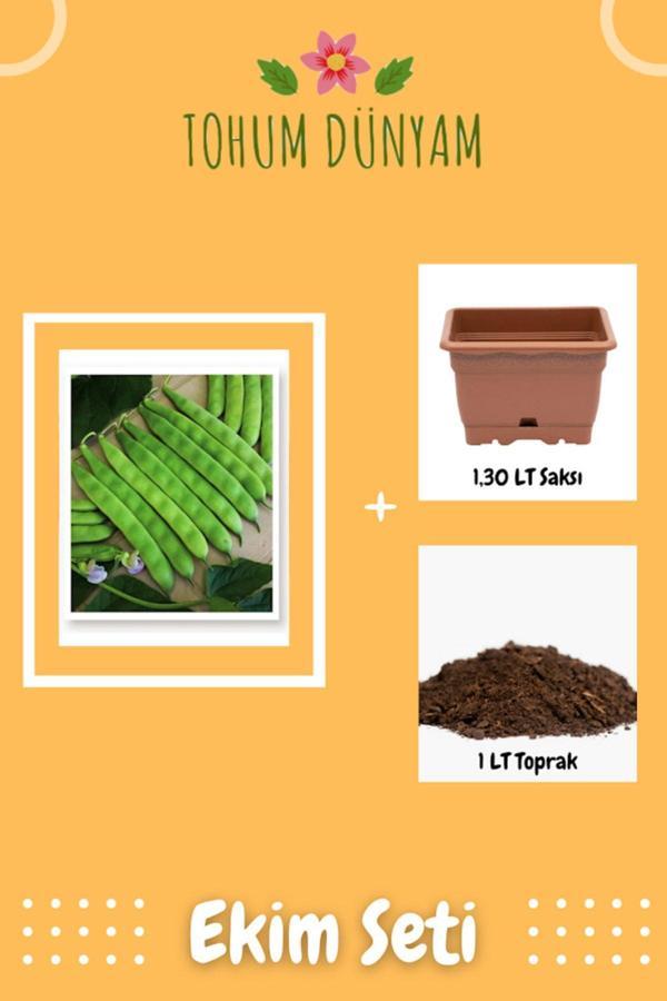 Ayc Botanik Yerli Sarıkız Fasulye Tohumu Ekim Seti - Image 1