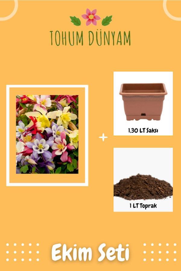 Ayc Botanik Yer Küpelisi Çiçek Tohumu Ekim Seti - Image 1