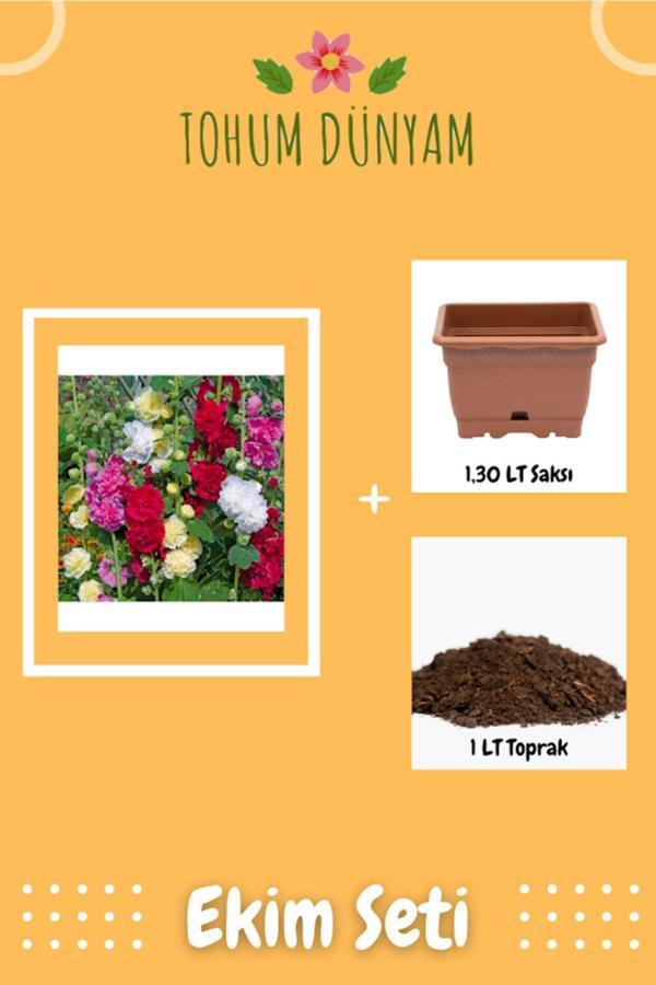 Ayc Botanik Karışık Renkli Katmerli Gül Hatmi Çiçeği Tohumu Ekim Seti - Image 1