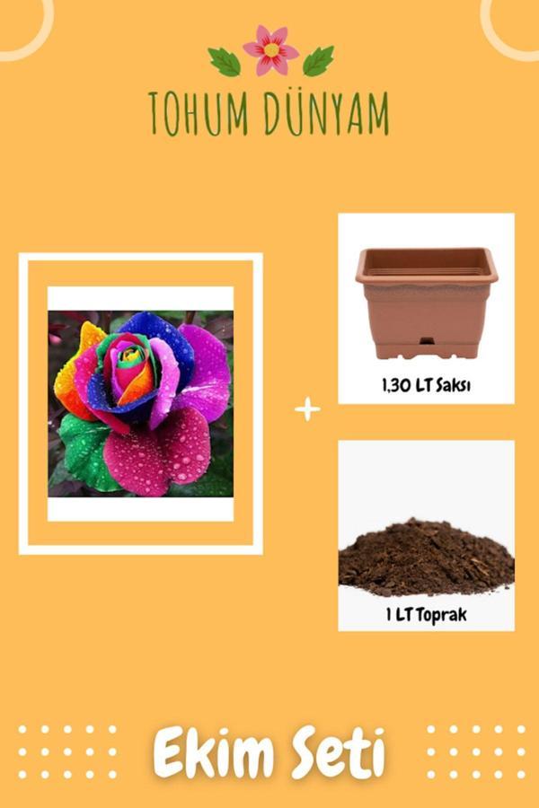 Ayc Botanik Kadife Gökkuşağı Gül Tohumu Ekim Seti - Image 1