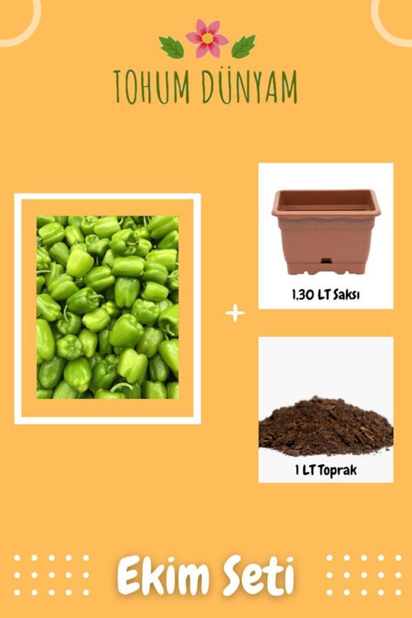Ayc Botanik Kandil Dolma Biber Tohumu Ekim Seti - Image 1
