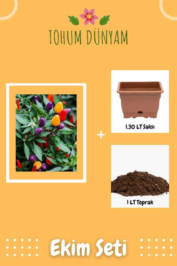 Ayc Botanik Tatlı Süs Biberi Tohumu Ekim Seti - Image 1