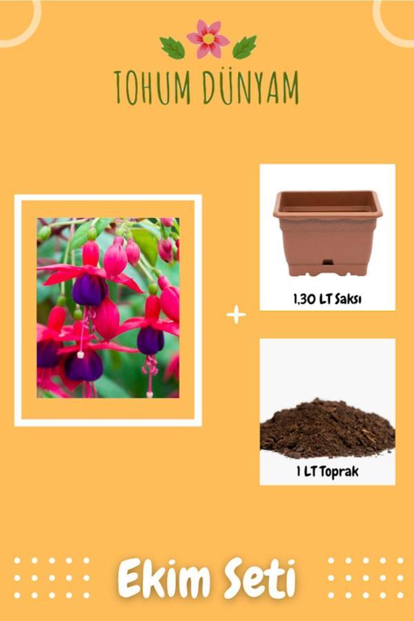 Ayc Botanik Kırmızı Mor Küpe Çiçeği Tohumu Ekim Seti - Image 1