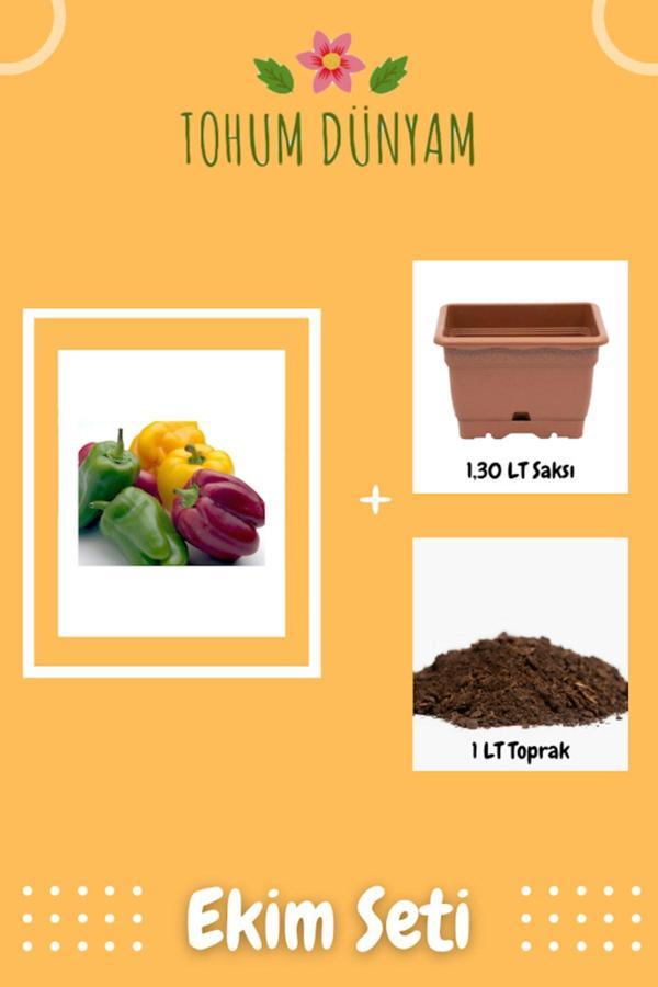Ayc Botanik Renkli California Dolmalık Biber Tohumu Ekim Seti - Image 1