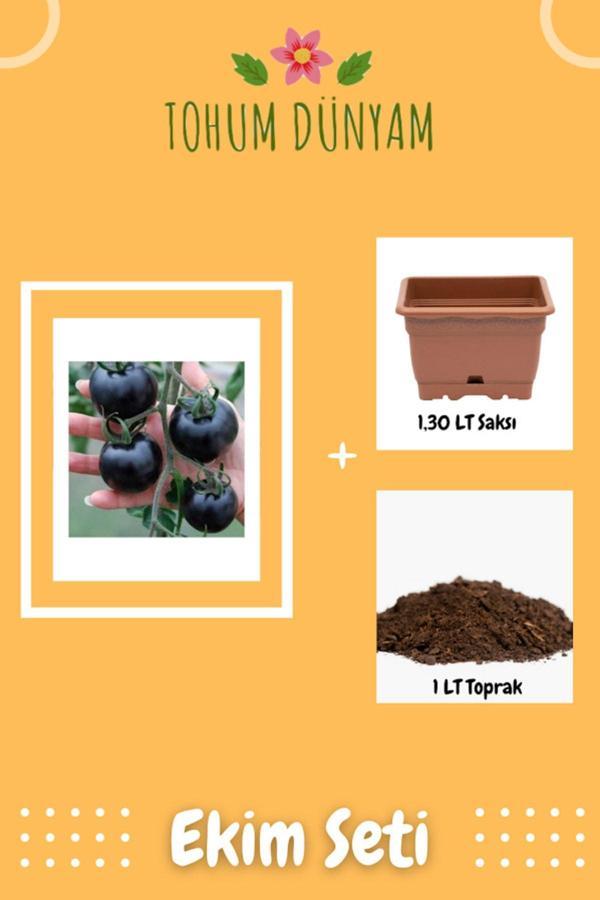 Ayc Botanik Siyah Domates Tohumu Ekim Seti - Image 1