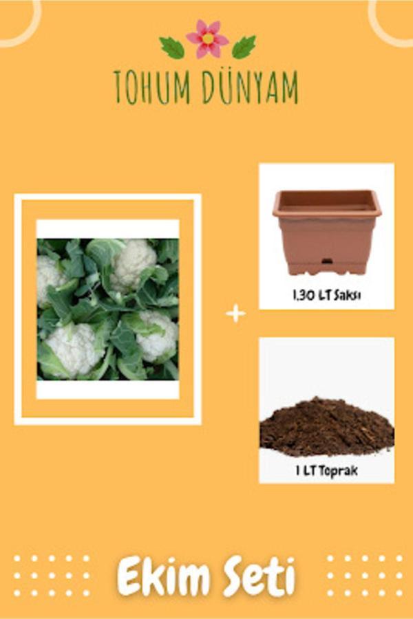 Ayc Botanik Karnabahar Tohumu Ekim Seti - Image 1