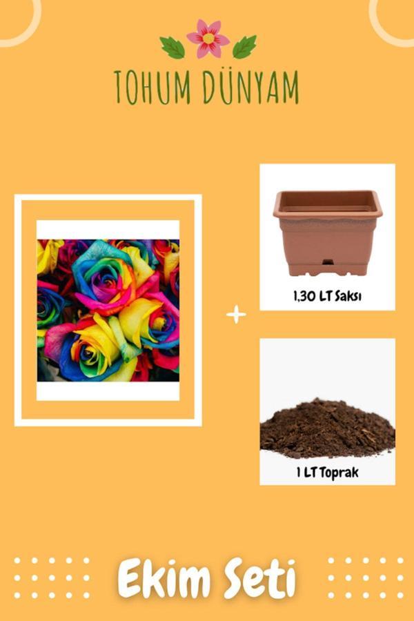 Ayc Botanik Alaca Gökkuşağı Gül Tohumu Ekim Seti - Image 1