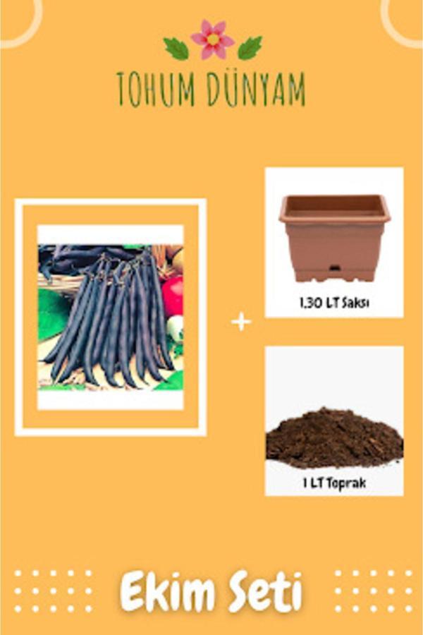 Ayc Botanik Yediveren Siyah Fasulye Tohumu Ekim Seti - Image 1