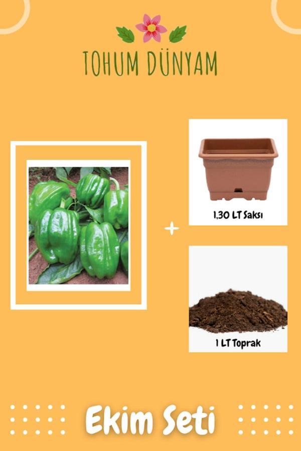 Ayc Botanik Yöresel Dolma Biber Tohumu Ekim Seti - Image 1